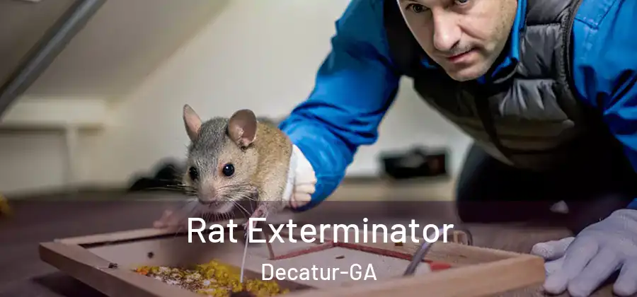 Rat Exterminator Decatur-GA