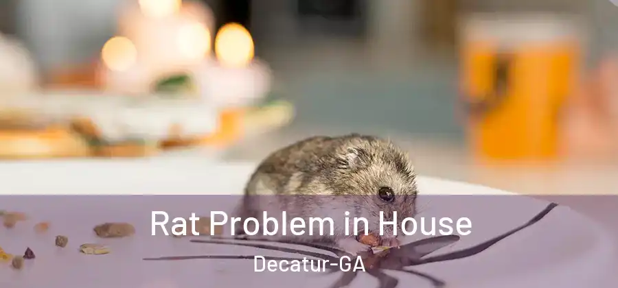  Rat Problem in House Decatur-GA