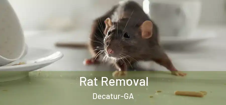  Rat Removal Decatur-GA