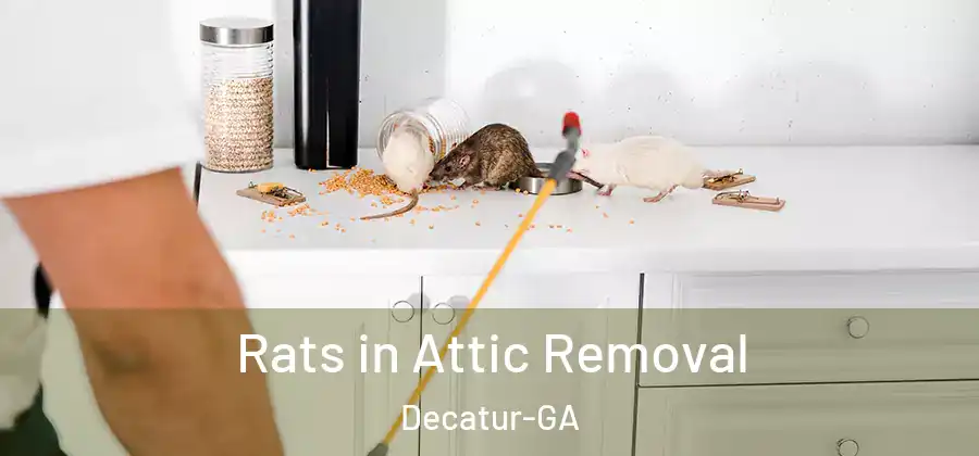 Rats in Attic Removal Decatur-GA