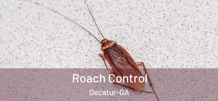  Roach Control Decatur-GA