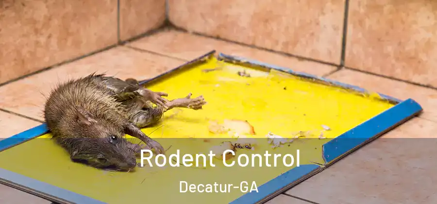 Rodent Control Decatur-GA