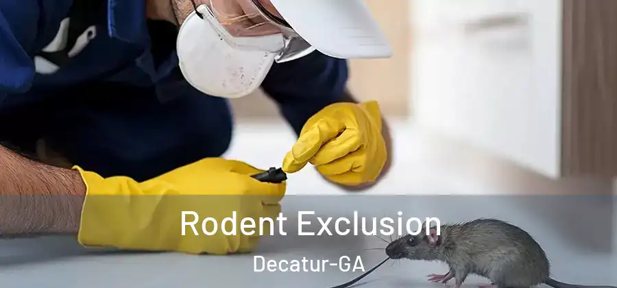  Rodent Exclusion Decatur-GA