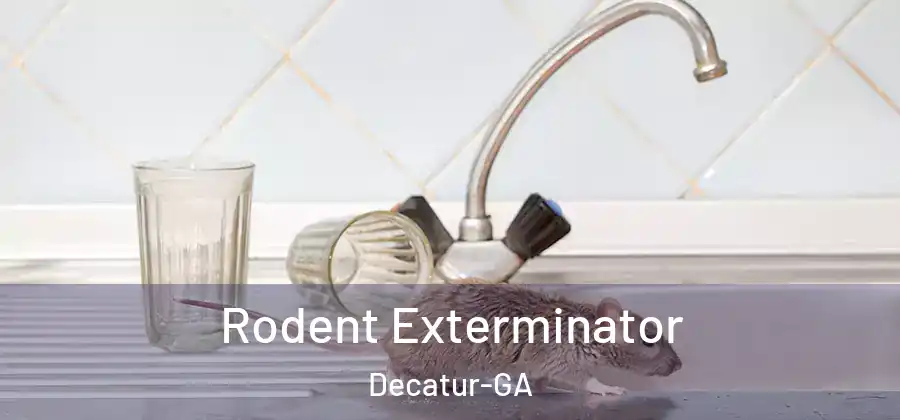 Rodent Exterminator Decatur-GA