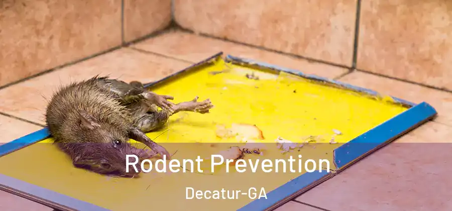  Rodent Prevention Decatur-GA