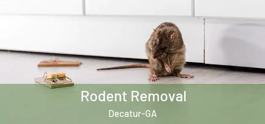Rodent Removal Decatur-GA