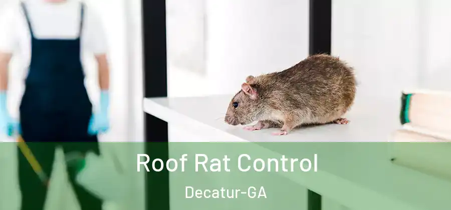 Roof Rat Control Decatur-GA