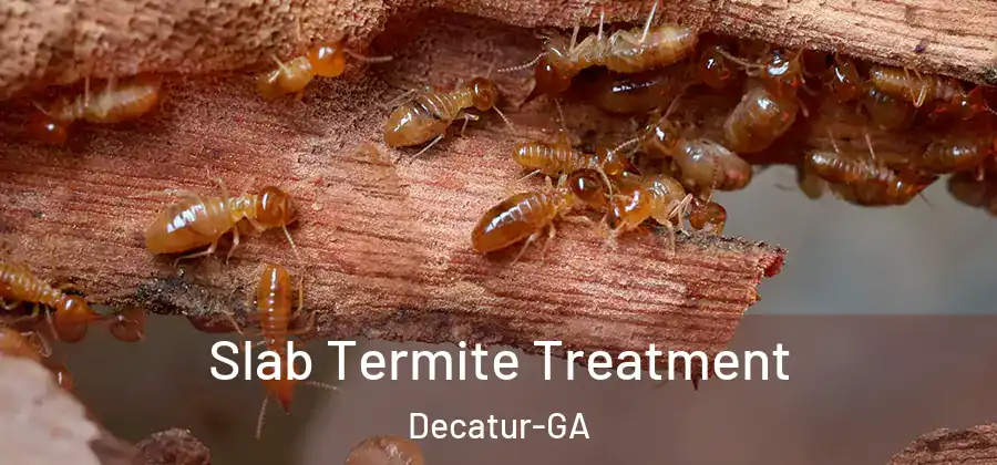 Slab Termite Treatment Decatur-GA