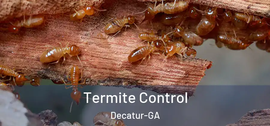 Termite Control Decatur-GA