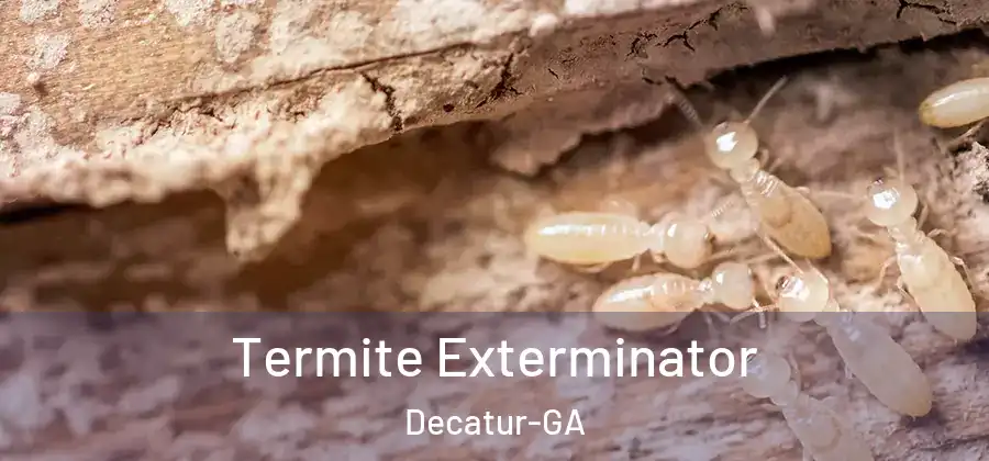 Termite Exterminator Decatur-GA