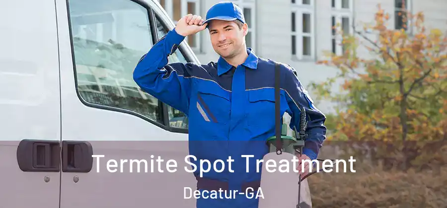  Termite Spot Treatment Decatur-GA