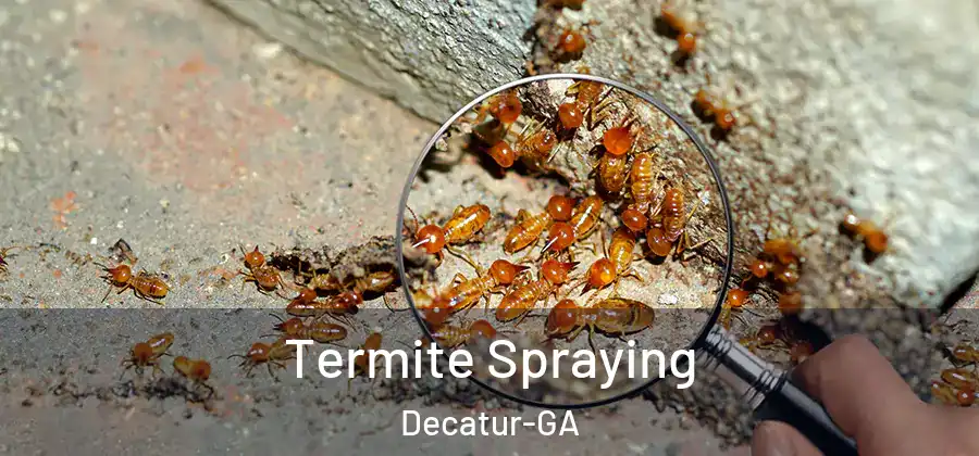 Termite Spraying Decatur-GA