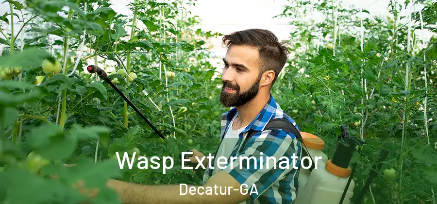 Wasp Exterminator Decatur-GA