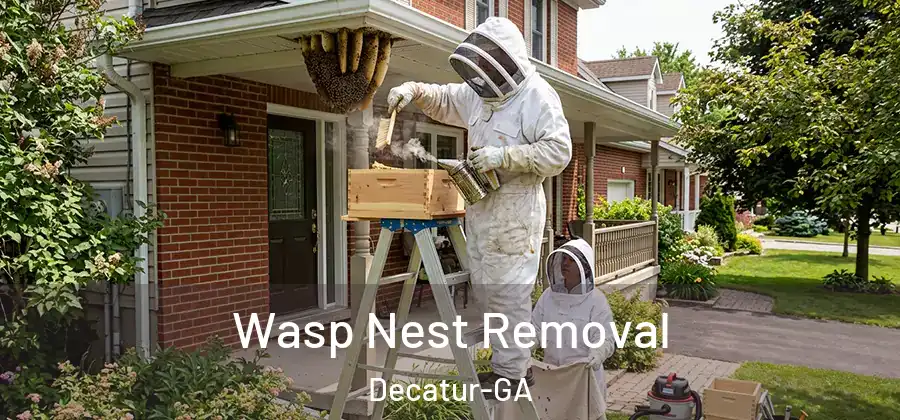 Wasp Nest Removal Decatur-GA