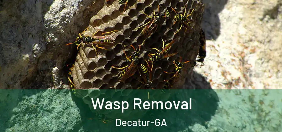  Wasp Removal Decatur-GA