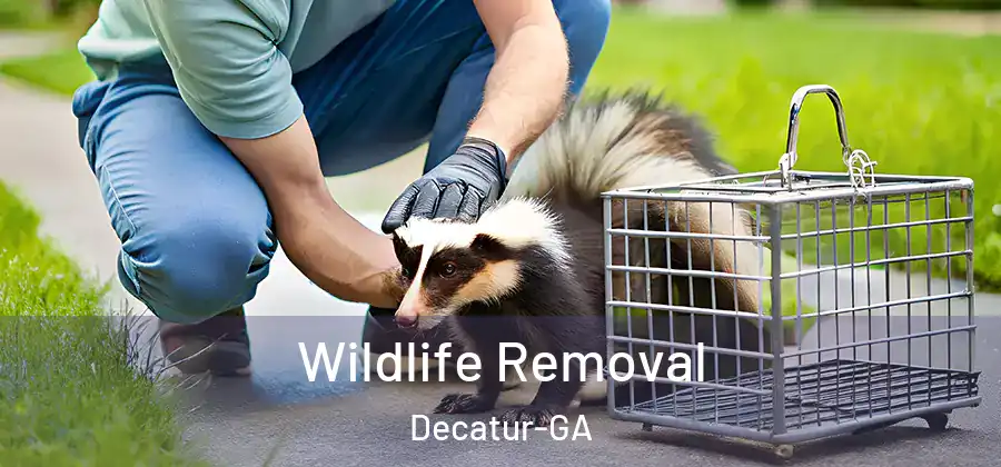 Wildlife Removal Decatur-GA