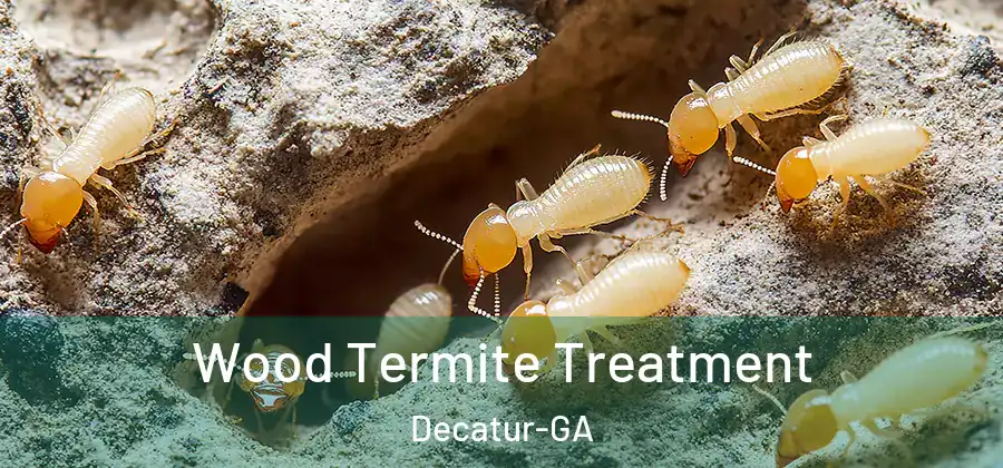 Wood Termite Treatment Decatur-GA