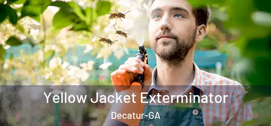 Yellow Jacket Exterminator Decatur-GA