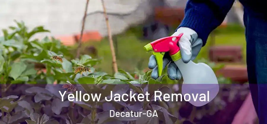 Yellow Jacket Removal Decatur-GA